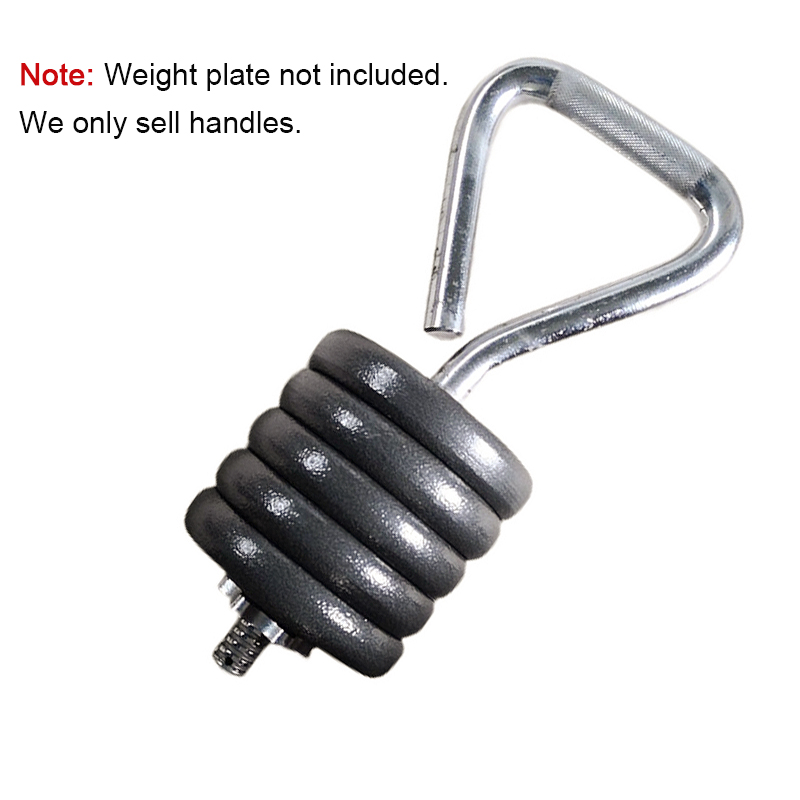 Einstellbar Fitness Kettlebell – Home Gym Kettlebells Bewertung und Preis